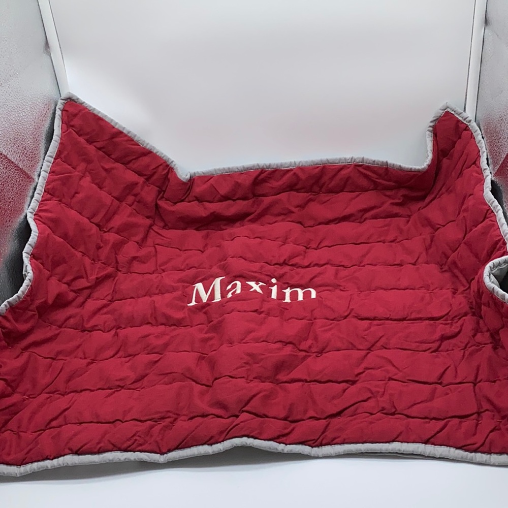 Pottery Barn Kids Standard Quilted Pillow Sham Monogrammed Maxim 20” x 26”